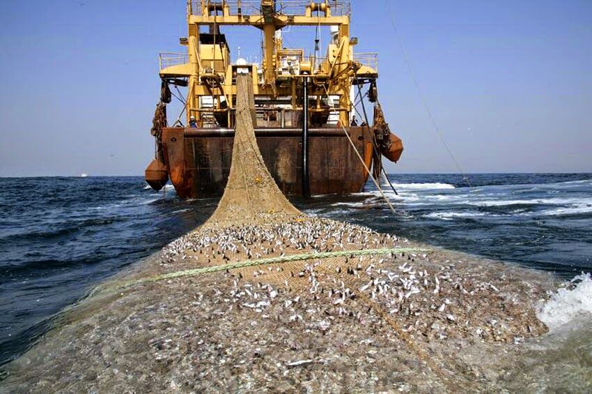 teknologi Penangkap Ikan 850x565
