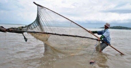 jenis alat penangkap ikan 456x239