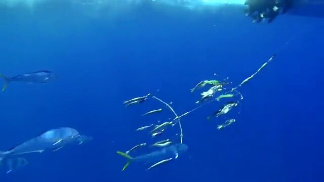 teknik mancing 640x360