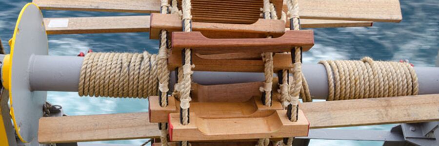 Jenis Dan Fungsi Monkey Ladder 900x300