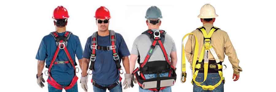 Distributor Safety Body Harness 900x300