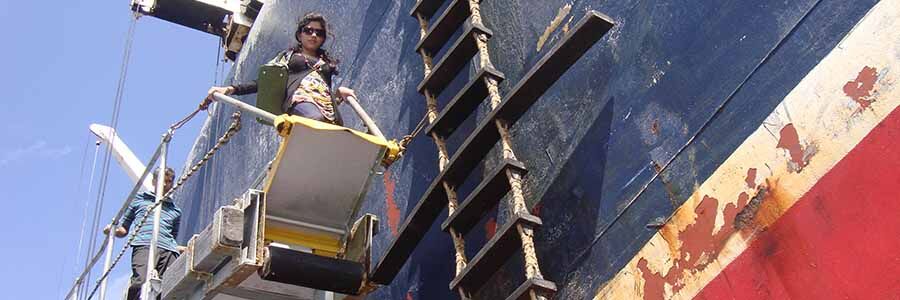 Pilot Ladder 900x300