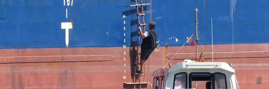 Jual Pilot Ladder 900x300