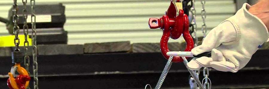 Distributor Segel Crosby  900x300
