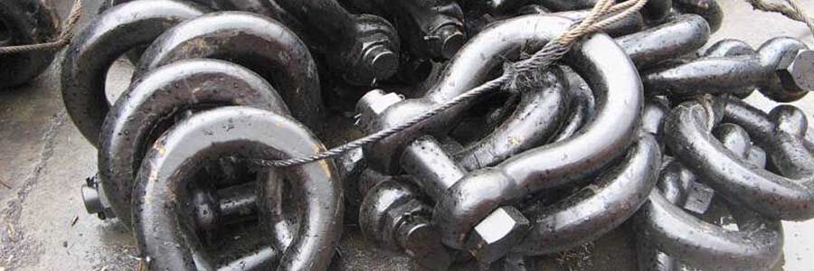 Shackle Omega 900x300