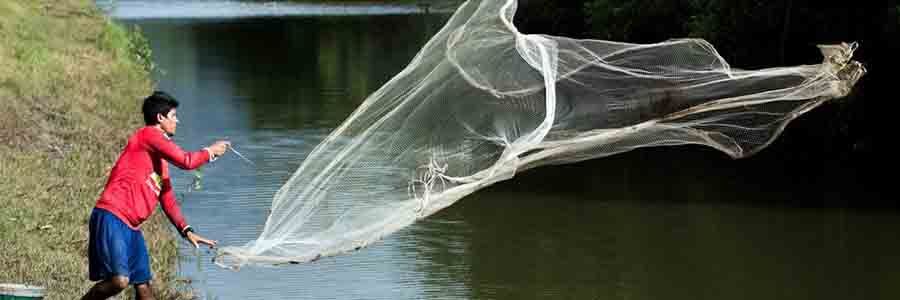 Jaring Ikan 900x300