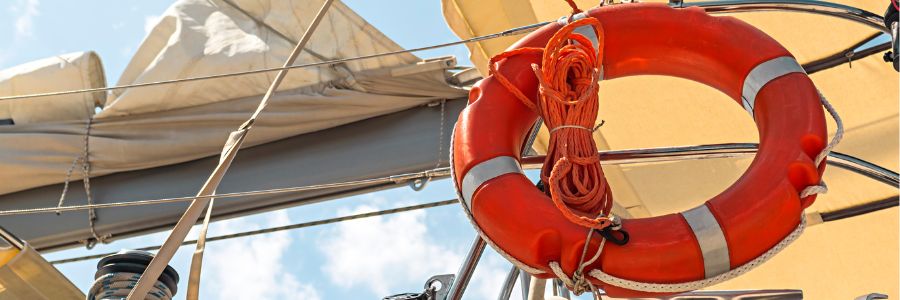 Jual Lifebuoy Line