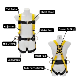 Bagian-Bagian Full Body Harness