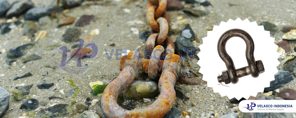 Anchor Shackle velascojakarta 1