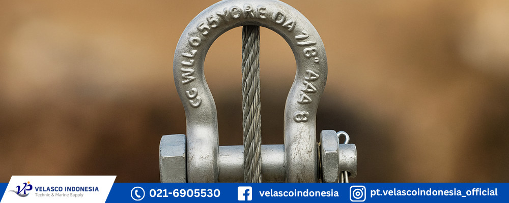 Shackle D velascojakarta